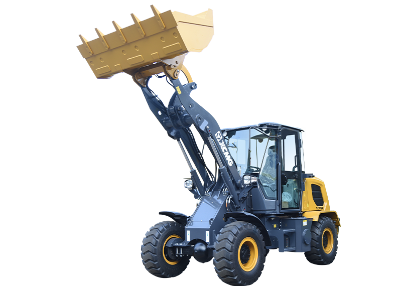 XCMG Wheel & Skid Loader
